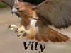 Uživatelský avatar